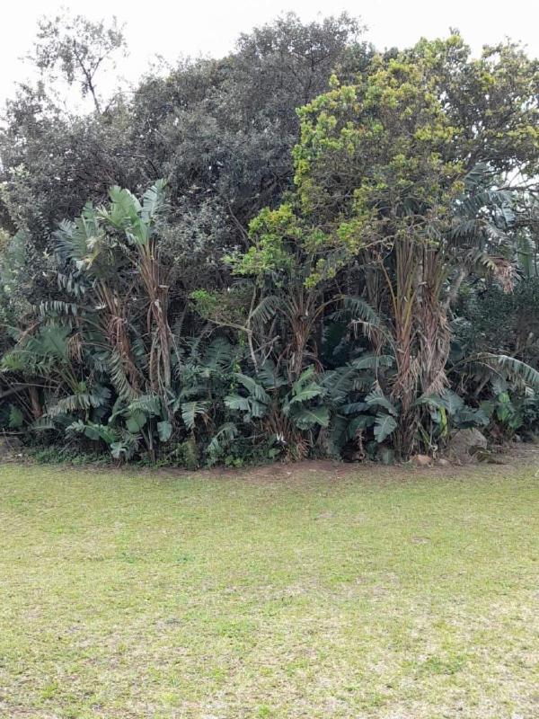 شقة 19 Montego Bay Caribbean Estate بورت إدوارد المظهر الخارجي الصورة